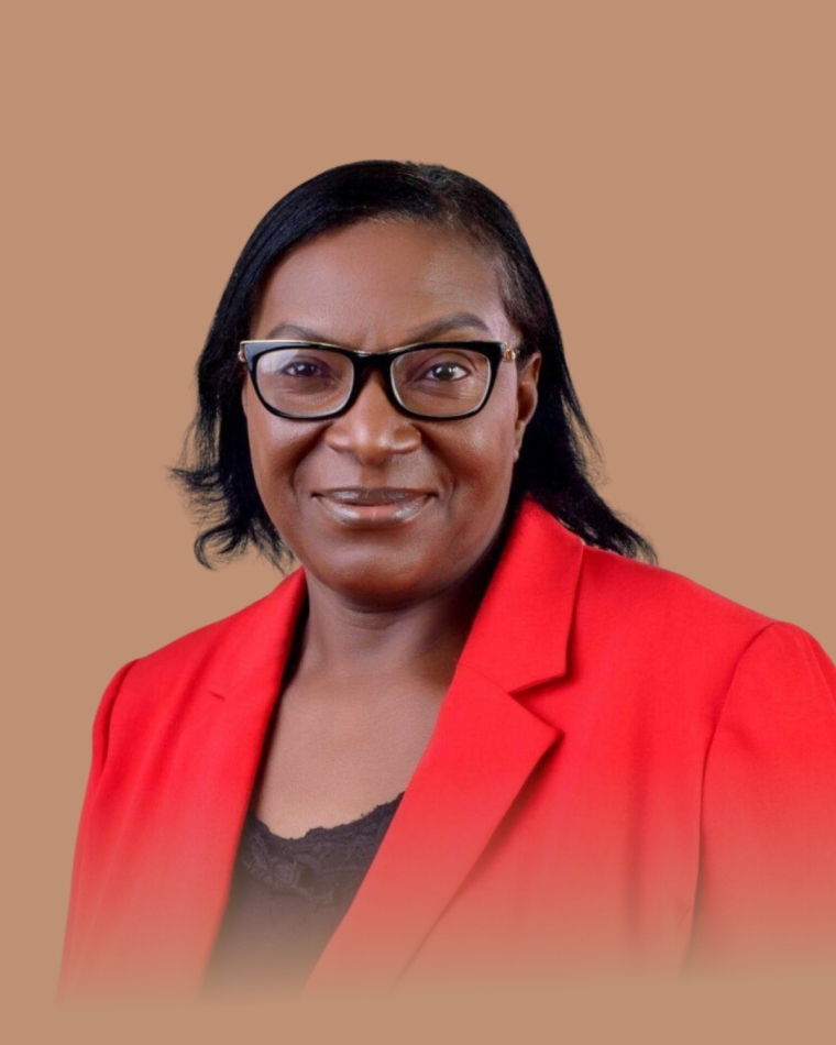Professor Anthonia Sowunmi